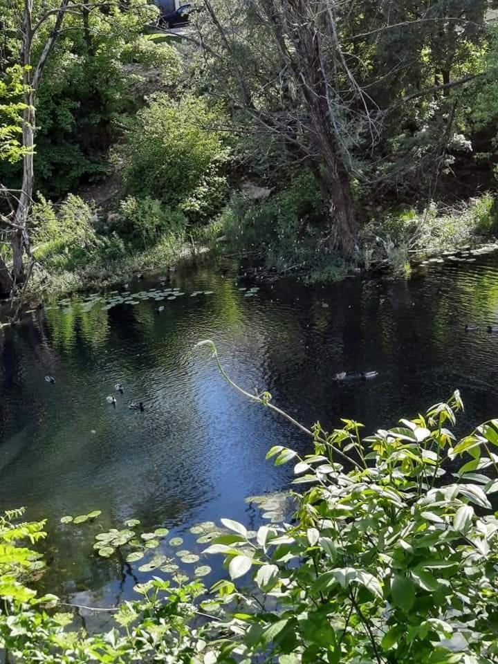 Gospic Riverside Apartment エクステリア 写真