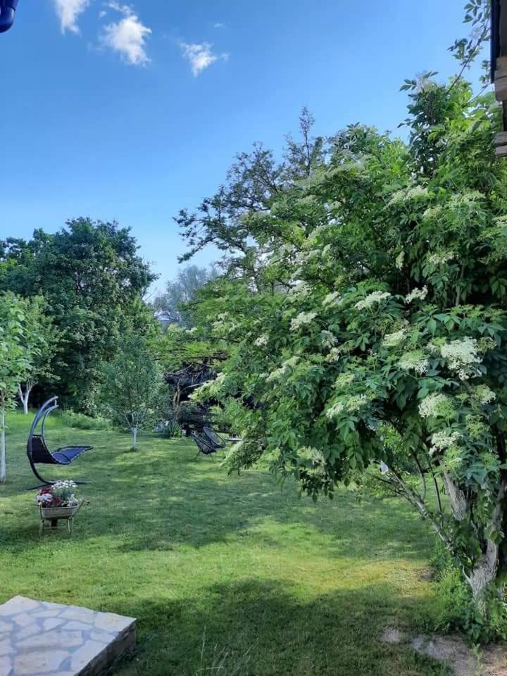 Gospic Riverside Apartment エクステリア 写真